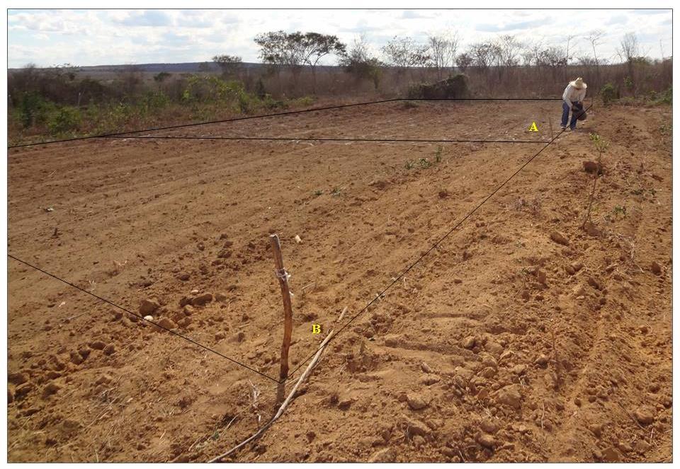 Figura 4 - Preparo convencional do solo para cultivo de mandioca, no município de Cândido Sales - BA. Subparcela com calagem e adubação (A) e subparcela sem calagem e adubação (B).