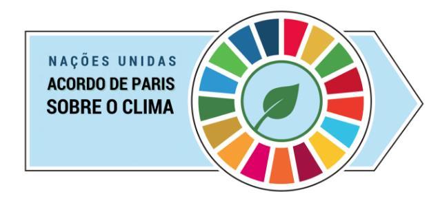 Acordos internacionais 21ª Conferência das Partes (COP21) da UNFCCC, Contribuições Nacionalmente