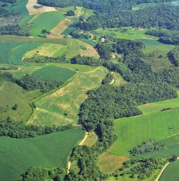 Propriedades Rurais e Vegetação Natural 53% das áreas estão em propriedades rurais Soares-Filho