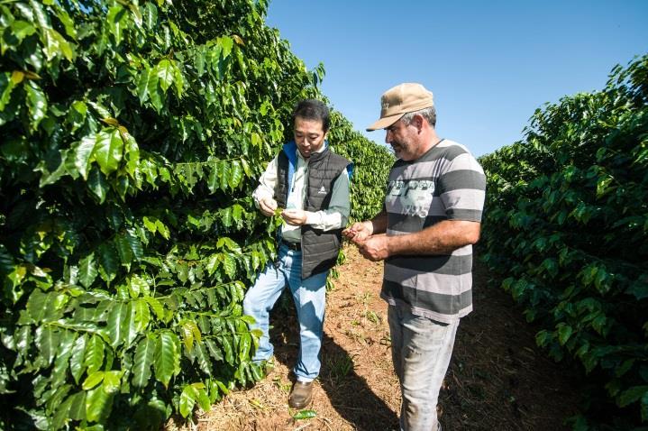 Paraná não tem produtos para controle no café José Ryoti Nakabayashi, engenheiro agrônomo da Capal Cooperativa Agroindustrial, atende 178 cafeicultores e uma área total de 3,1 mil hectares, boa parte