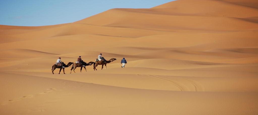 Visitaremos as Tumbas Saadianas, a Mesquita Koutoubia, o Palácio Bahia e os Jardins Menara. Retorno para o hotel e almoço.