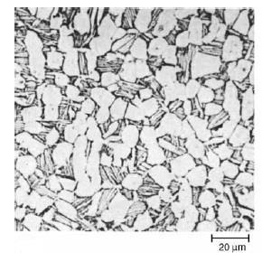 26 Figura 8 Exemplo de Microestrutura da fase α+β.