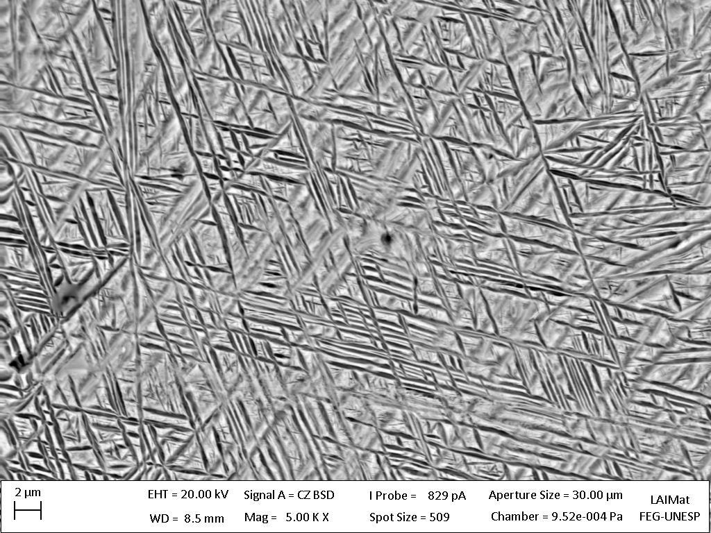58 Figura 36 Imagem de microscopia eletrônica de varredura na condição homogeneizada, com ampliação de 5000x.