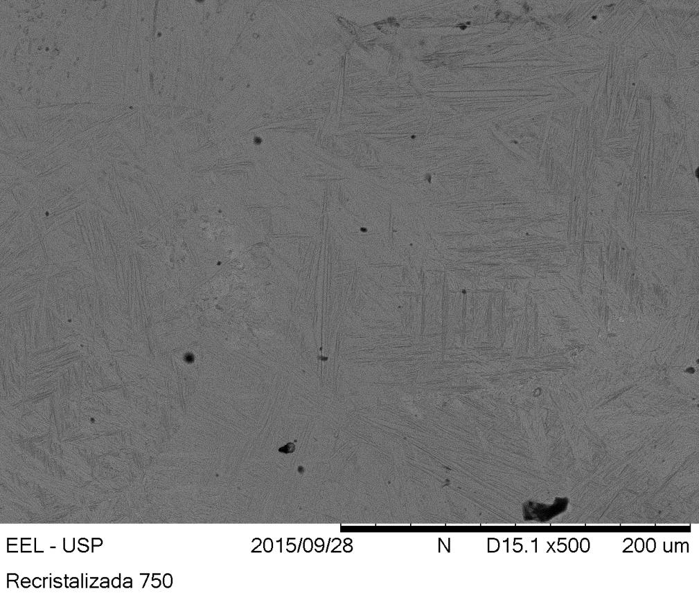64 Figura 43 Imagem de microscopia eletrônica de varredura