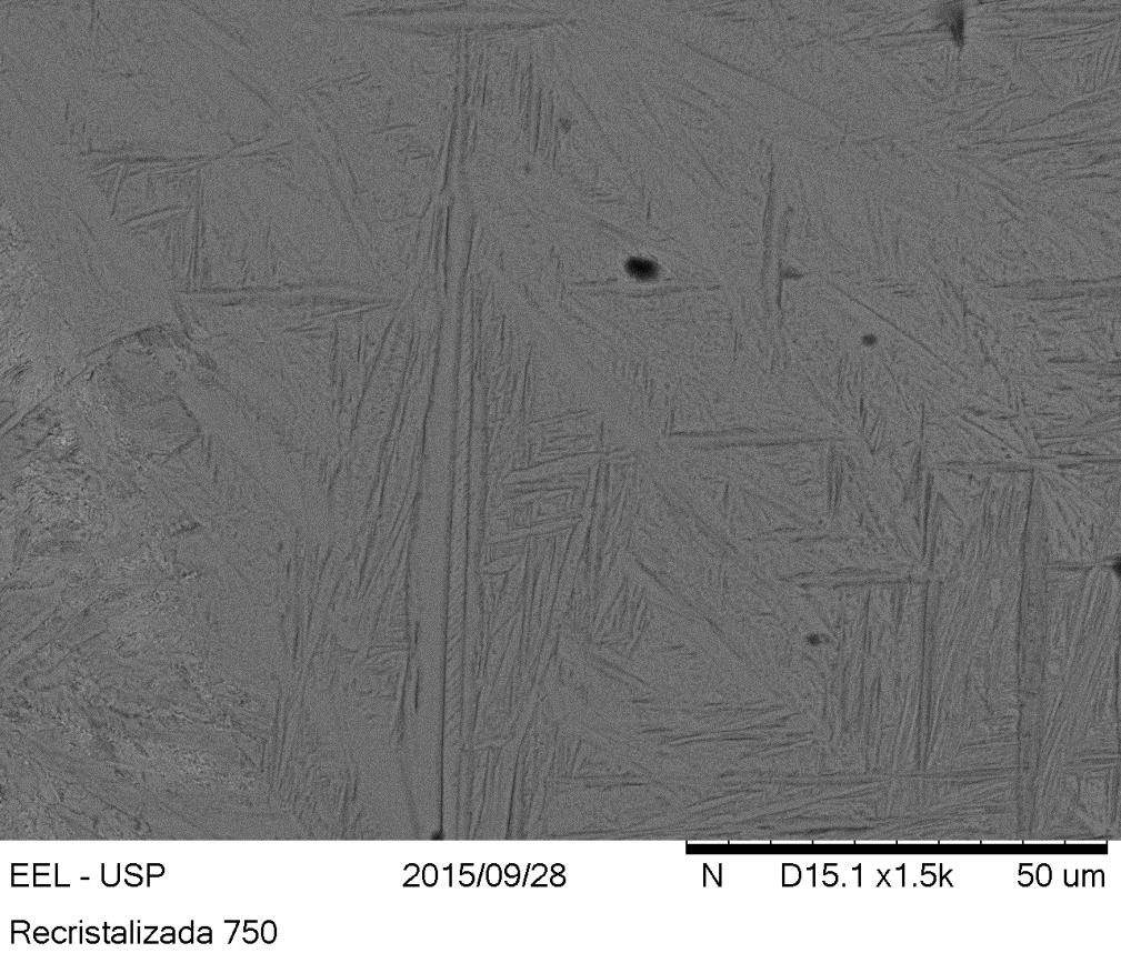 Figura 44 Imagem de microscopia eletrônica de varredura na