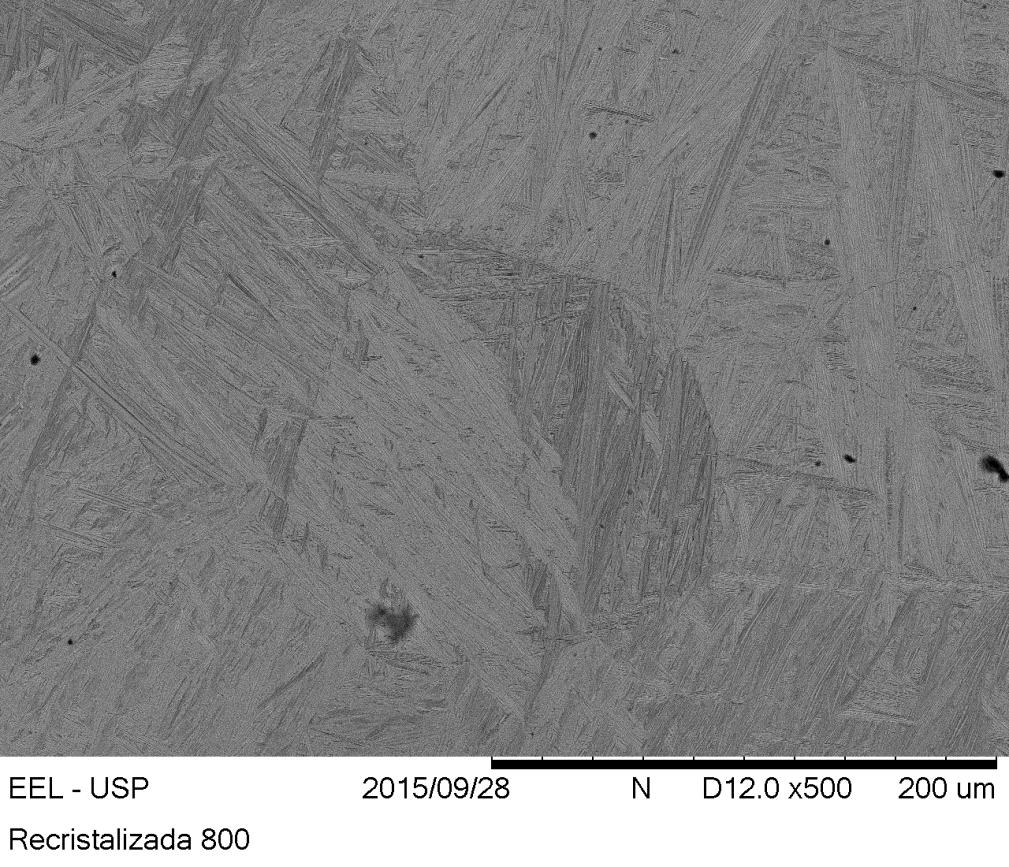65 Figura 45 Imagem de microscopia eletrônica de varredura