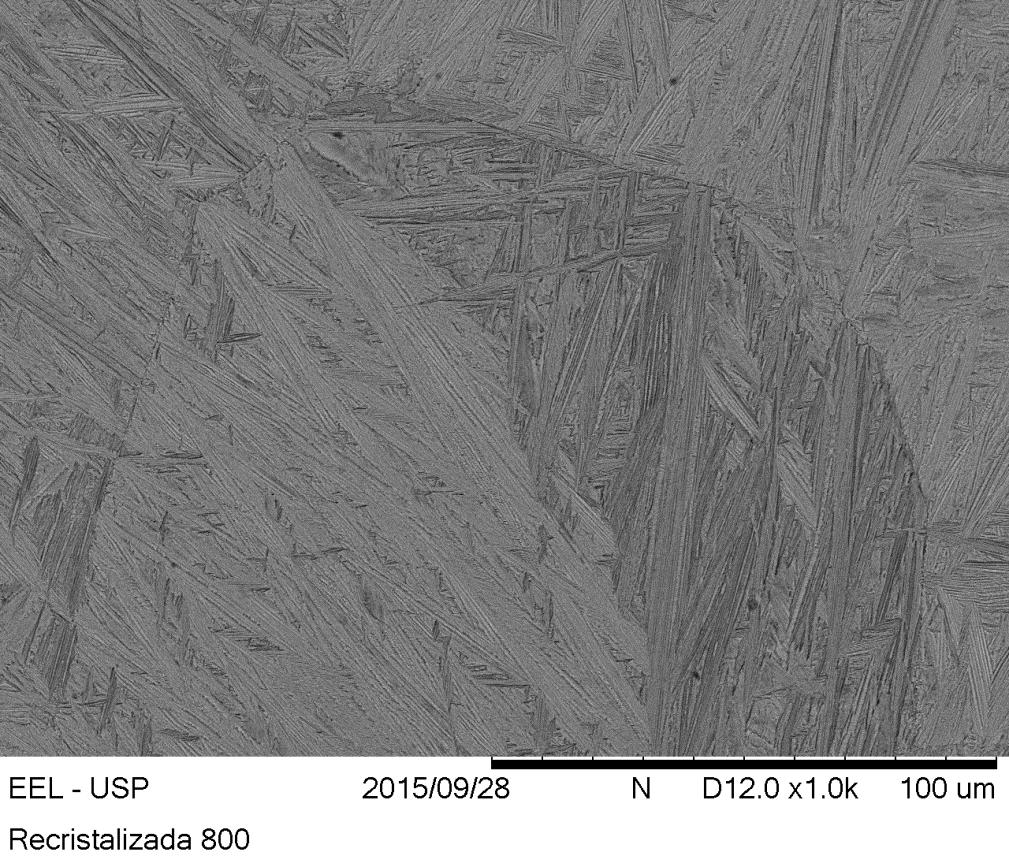 Figura 46 Imagem de microscopia eletrônica de varredura na