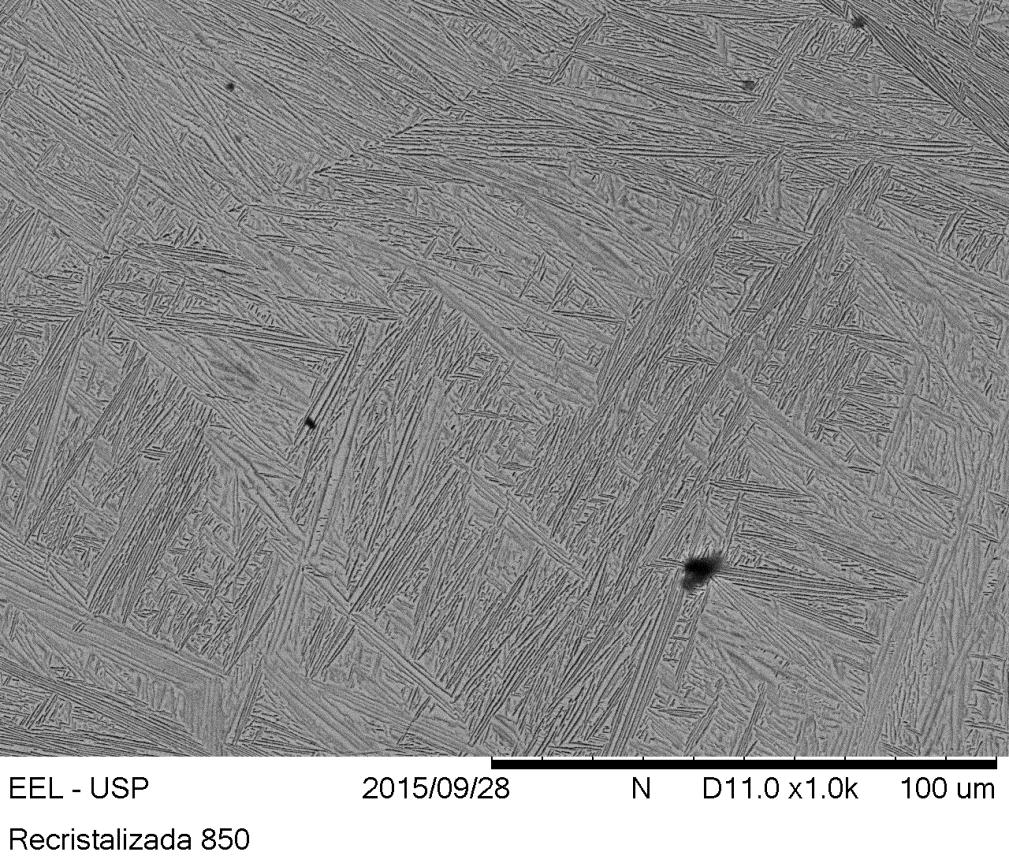 Figura 48 Imagem de microscopia eletrônica de varredura na