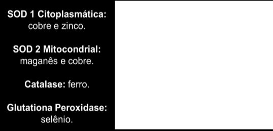 (Picnogenol) 75mg / dia Nicotinamida 500 mg/dia Inflamação Patogênese do