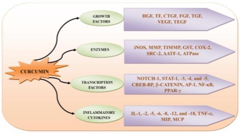 2016, 17, 160 Effect of ginseng and ginsenosides on melanogenesis and their mechanism of action