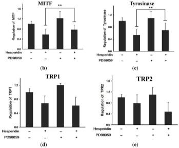 Kim / Effect of ginseng on melanogenesisj Ginseng Res 2015;39:1e6 Hesperidina, um antioxidante