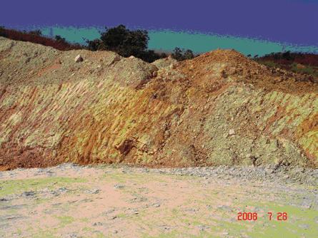 As ocorrências de caulim estão situadas na Fazenda Gameleira, Município de Silvânia-GO, latitude 16 0 24 25,8 e longitude 48 0 25 7,2 (Figura 1) e pertencem à Mineração Silvânia.