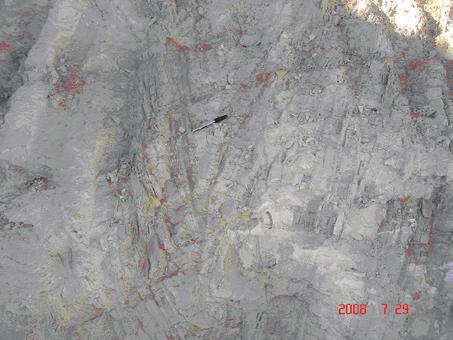 2 Materiais e Métodos Durante o reconhecimento geológico foram coletadas 07 amostras representativas de cada tipo de caulim (Tabela 1) na frente de lavra e no seu entorno.