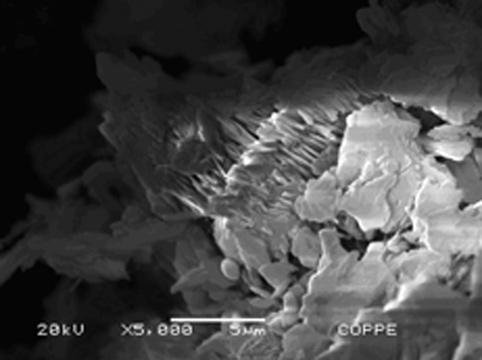 3.3 Microscopia Eletrônica de Varredura As análises no microscópio eletrônico de varredura (MEV) confirmaram que as amostras < 44 µm, após o beneficiamento, são constituídas