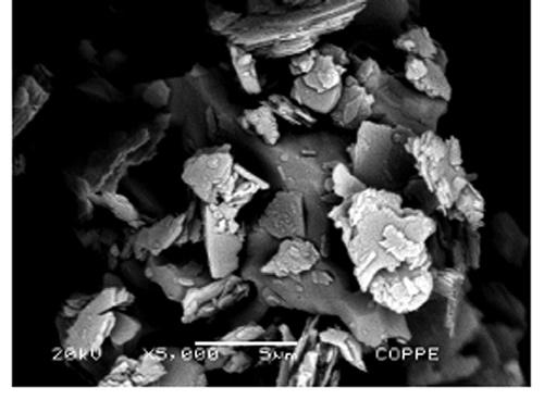 Somente a amostra Am 07 apresentou concentração de óxido de alumínio acima de 22%.