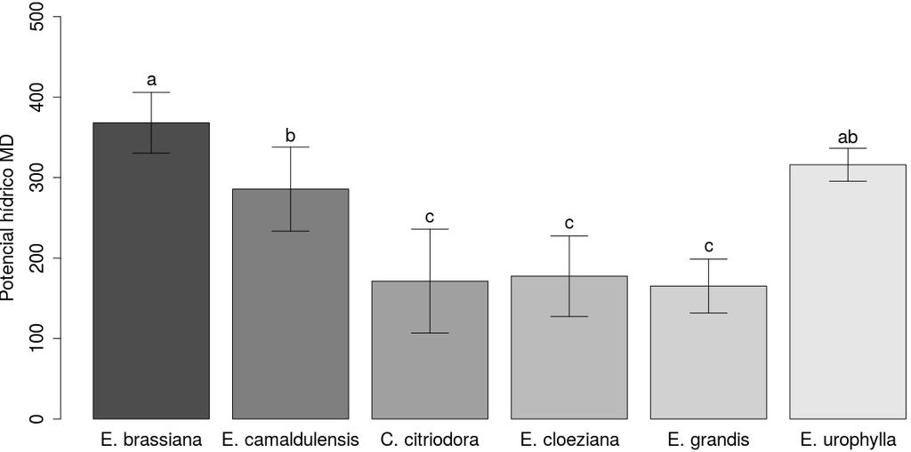 Figura 2: Médias de potencial hídrico mínimo das seis espécies de eucalipto. Na Figura 2 verifica-se que o a espécie E.