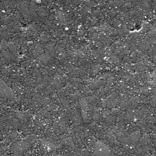 000X B FIGURA 17 Fotomicrografia da resina Opallis: a) antes da termociclagem; b) após a termociclagem.