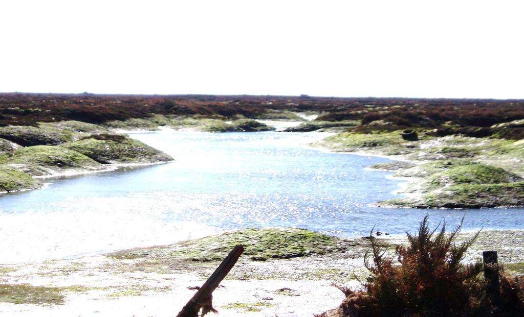 Estudos desenvolvidos relevantes para esta temática Monitorização dos Estuários do Arade e Guadiana, das zonas de descarga das ETAR de Almargem e Noroeste de Faro e dos Emissários Submarinos de