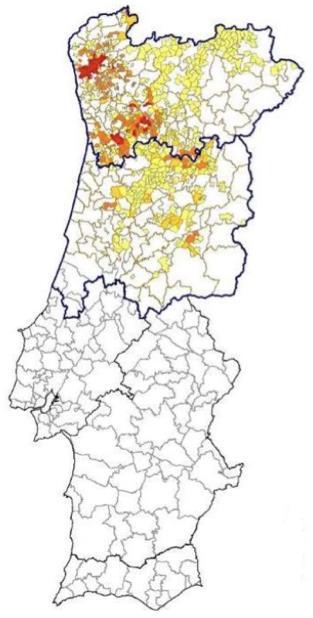 Em junho de 2014 foram detetados os primeiros focos da praga nalguns concelhos da região de Entre-Douro-e-Minho e no final desse ano o inseto já tinha sido assinalado em 75 freguesias daquela região.