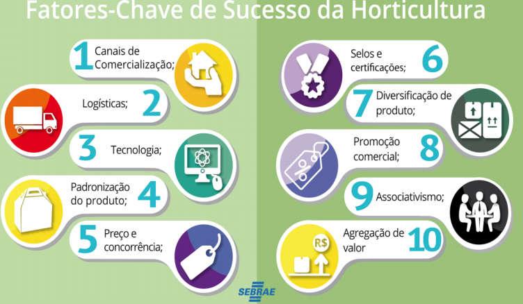 De acordo com o levantamento do SEBRAE (2017) em parceria com a FGV, as micro e pequenas empresas, representam 27% do PIB do país, essas informações mostram como são decisivas para a economia do