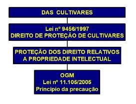 É o direito de proteção dos direitos relativos a propriedade intelectual e está previsto na Lei nº 9.456/97 que prevê o direito de proteção de cultivares.