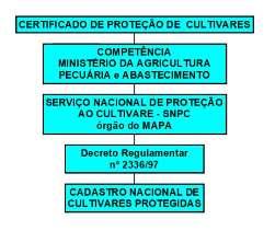 105/05 (Lei de Biossegurança) tendo como princípio basilar o da precaução que consiste em não liberar na dúvida.