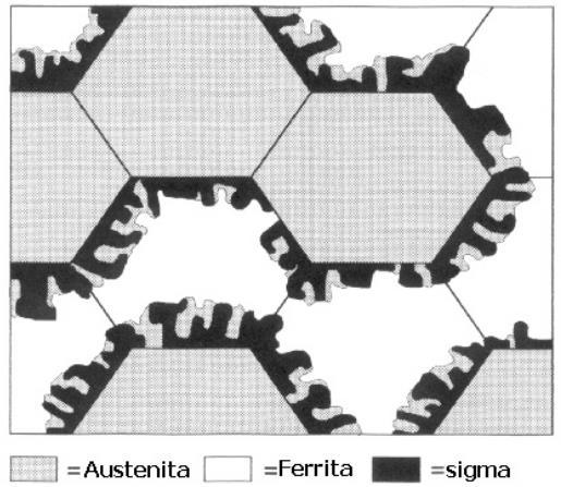 36 Figura 8 - Modelo esquemático de precipitação da fase sigma em um aço inoxidável duplex.