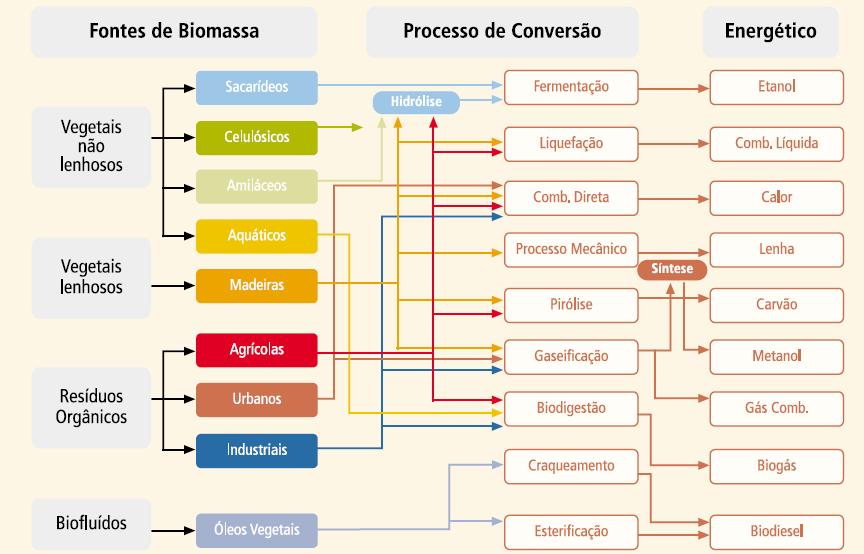 Rotas Tecnológicas para a Produção de Bioenergia