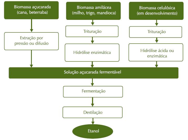 Rotas Tecnológicas para a Produção de Etanol