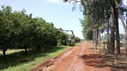 PROCESSO FLORAL 3 SEMANAS EVOCAÇÃO DIFERENCIAÇÃO