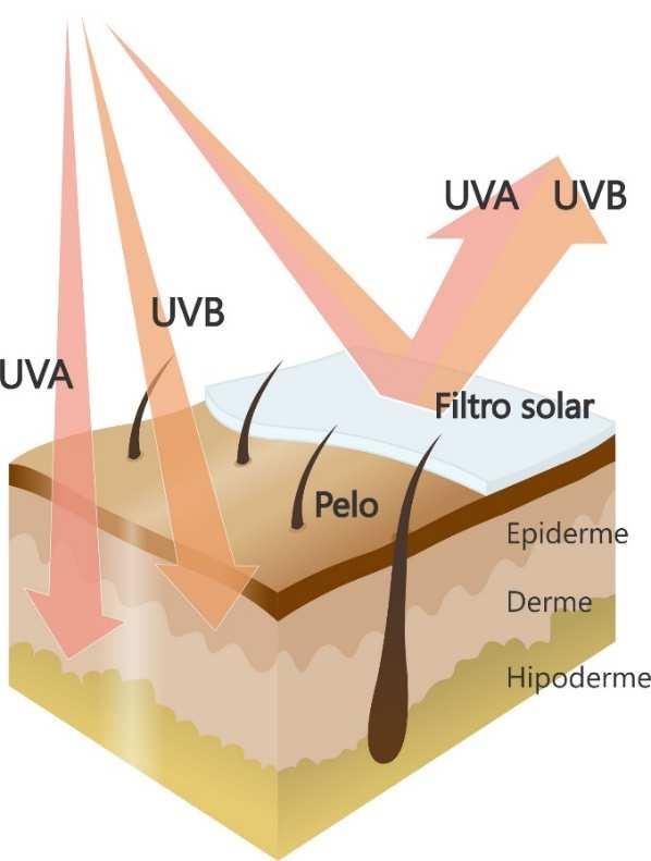 Radiação Solar Figura 1: Incidência da