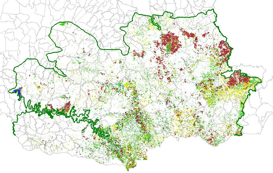 Fragmentação e degradação da Floresta com Araucária perda de espécies Em 2001 existiam