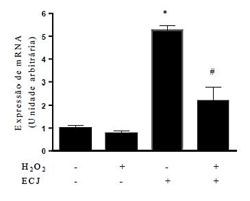 Análise da expressão gênica Enzima GST *p < 0,05 versus controle, #p < 0,05 versus células estressadas com H 2 O 2, pelo teste de Newman- Keuls.
