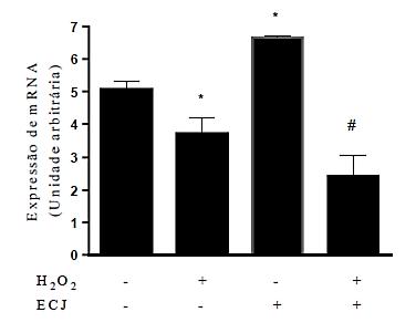 Análise da expressão gênica Enzima CAT A adição dos extratos no meio de cultura da célula, induziu a expressão do mrna do gene CAT.