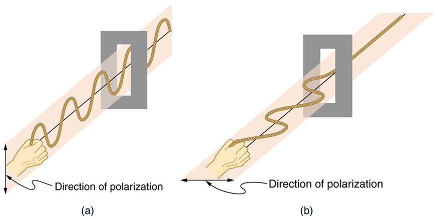 7. Polarização Polarização: uma onda transversal, vibrando em várias direções, tem uma de