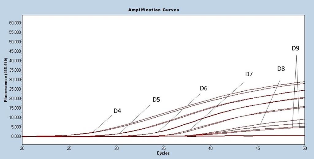 Fonte: (DINIZ, 2018) Figura 7- curva de amplificação da PCR em tempo real (PCRtr-C) à temperatura de annealing