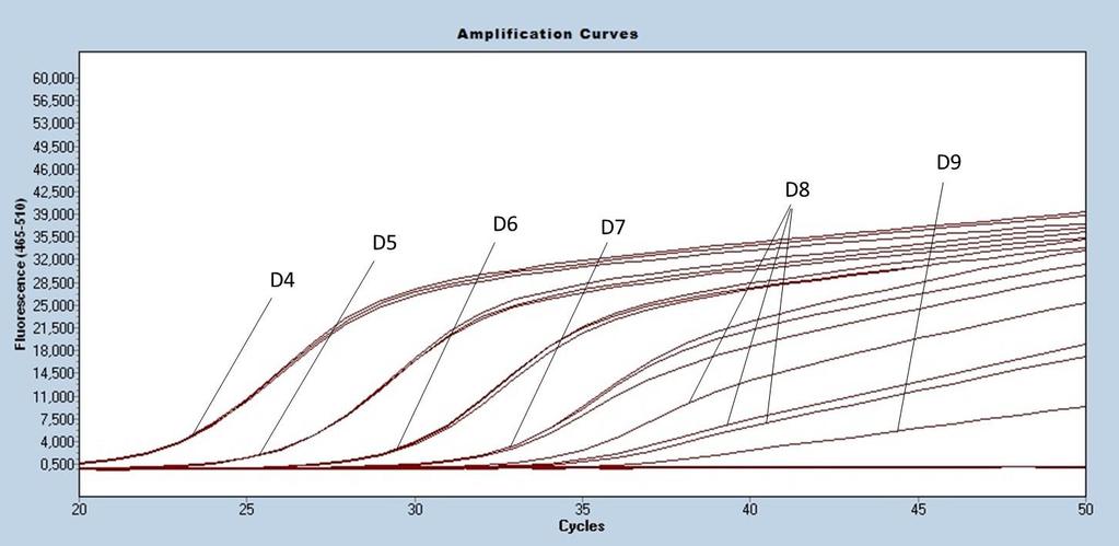 54 Figura 8- curva de amplificação da PCR em tempo real (PCRtr-B) à temperatura de annealing de 59º C, com 200 nm de primers e 200 nm de sonda, utilizando as suspensões de DNA de Brucella canis D4 a