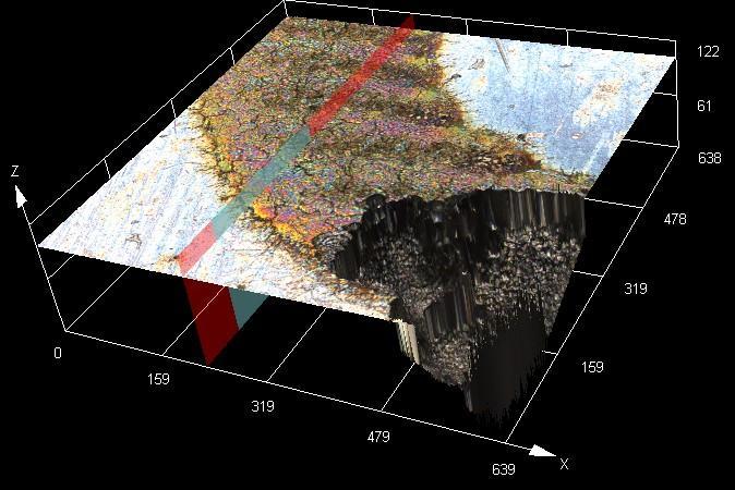 Utilizando-se microscopia confocal foi possível obter imagens de pites e frestas nas amostras texturizadas e marcadas a laser e estimar algumas das dimensões destas formas de corrosão,