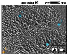 121 Figura 69. Regiões da amostra-3 analisadas por pontos e por linha, respectivamente. A seta indica o sentido adotado para a análise por line scan. Aumento: 500x. Sem ataque.