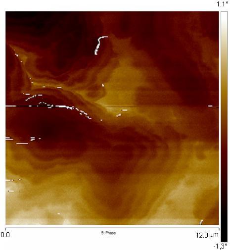 155 Figura 112. Imagem da diferença de fases detectada na superfície da amostra 3.