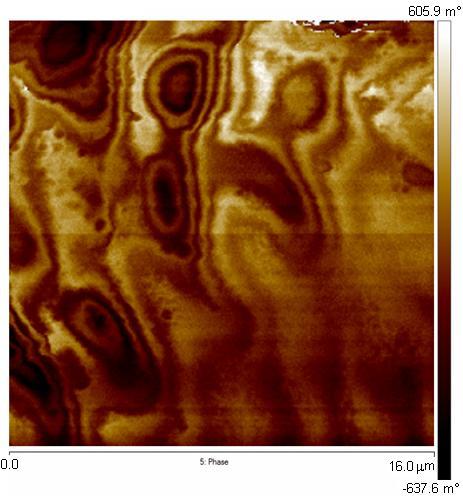 157 Figura 115. Imagem da diferença de fases detectada na superfície da amostra 4.