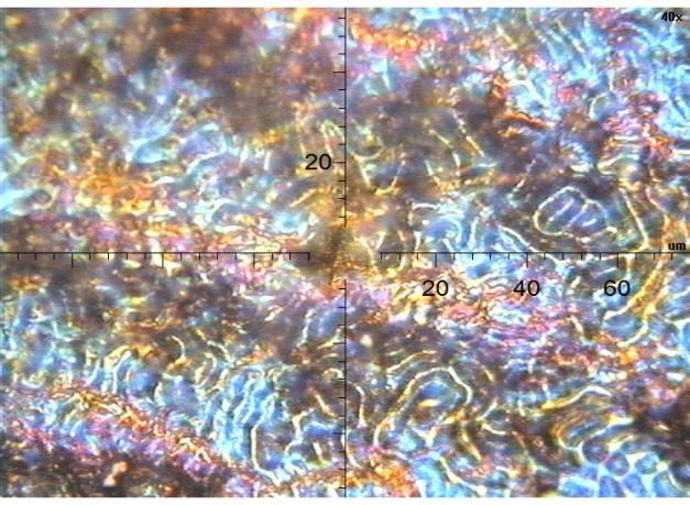 texturizadas por laser e padrão de referência,