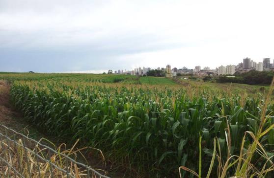 Participação e integração do PRO-HORT em atividades de extensão em conjunto com o grupo SUPRA (Grupo de Pesquisa em Sistemas Sustentáveis de Produção Agrícola) da Universidade Federal do Paraná -