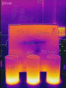 Figura 19: Imagens Termográficas do TA1 após