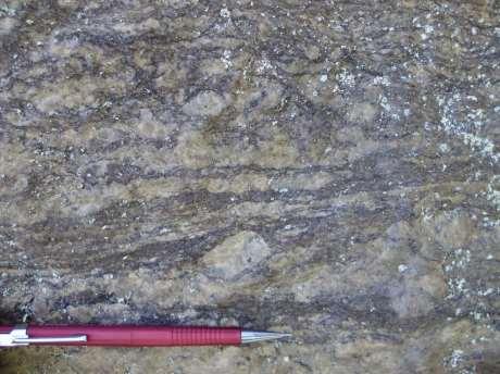 11 4.1.1 Biotita gnaisse Trata-se de rocha de cor cinza, que macroscopicamente apresenta um bandamento composicional, com bandas félsicas contendo fenocristais de feldspato e bandas máficas ricas em