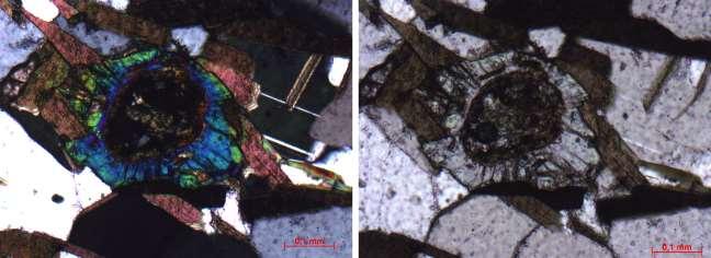 14 A descrição mineralógica dessa lâmina em muito se assemelha à da lâmina anterior, sendo diferenciada pela ausência de muscovita e microclina e pela presença de minerais opacos e apatita.