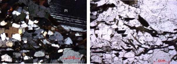 15 Figura 12: Fotomicrografia do Biotita-gnaisse; Com nicóis cruzados à esquerda e com nicóis paralelos à direita. 4.1.2 Biotita xisto Em afloramento, esta rocha ocorre repetidas vezes em finas camadas que variam de 0,5cm a 17cm.