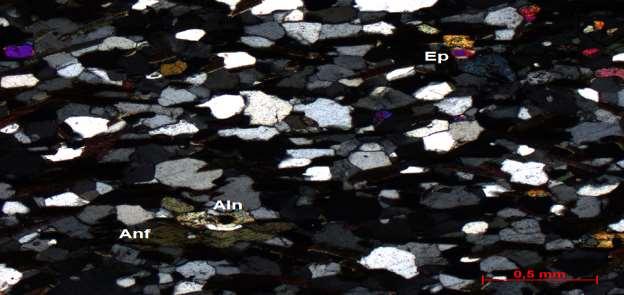 17 Figura 15: Aspecto textural do Biotita-Anfibólio Gnaisse em nicóis cruzados. Ep: epidoto, Aln: allanita, Anf: anfibólio. O quartzo ocorre anédrico e apresenta hábito granular.