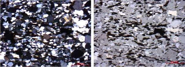 É possível notar fitas quartzo feldspáticas e concentração de biotita entre elas, o que gera orientação preferencial.