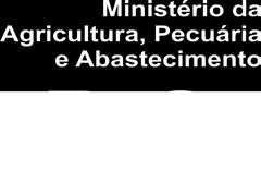 Fitopatologia Brasileira, Brasília, v. 9, n. 1, p. 39-41, 004. MEHTA, Y. R. Doenças do trigo e seu controle. São Paulo: Agronômica Ceres, 1978, 190 p. MITTELMANN, A.